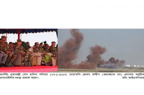 ARMY DEMONSTRATION (5)
