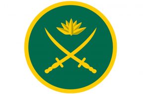 BD ARMY LOGO