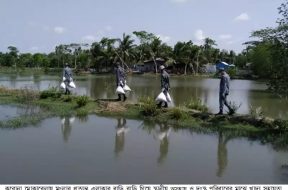 Mongla news pic-05