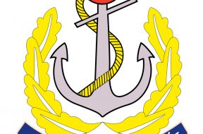 Navy Logo