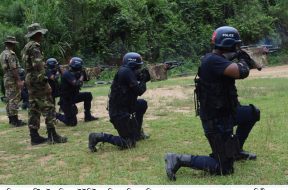 Pera Commando (3)