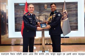 Commander of Turkish Air Force crest handed over to Chief of Air Staff of BAF